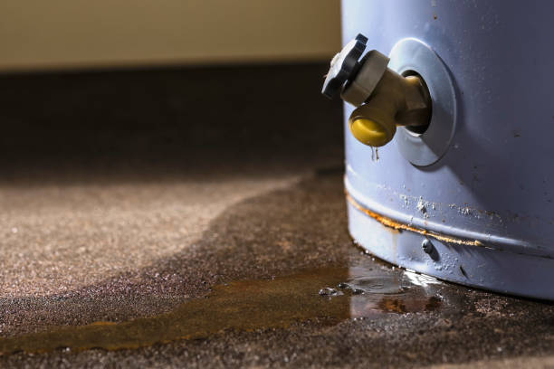 Best Water damage restoration near me  in Macon, GA