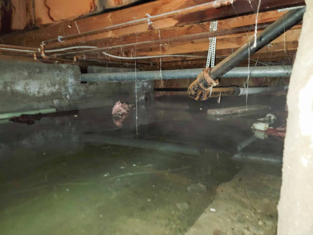 Best Flooded house restoration  in Macon, GA