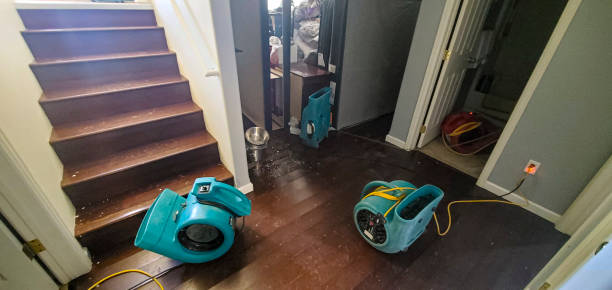Best Local water damage restoration  in Macon, GA