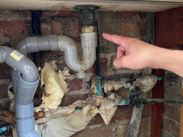 Best Water damage contractors near me  in Macon, GA